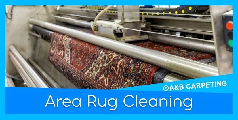 Professional Area Rug Cleaning